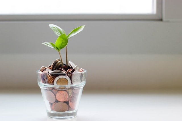 Een jong plantje groeit uit een glas gevuld met munten, symboliserend de groei en het potentieel van vastgoedinvesteringen.